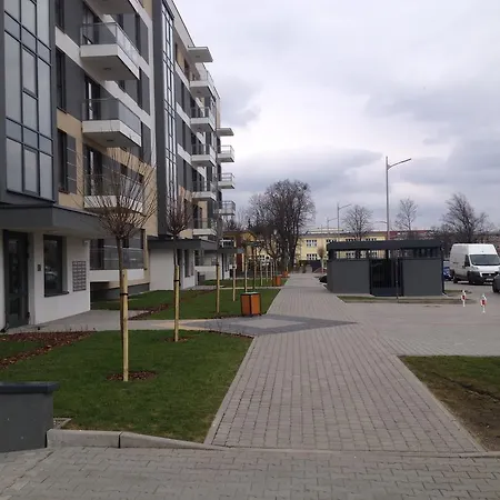 Alihouse Μπίντγκοστς